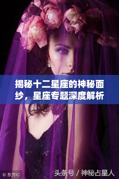 揭秘十二星座的神秘面纱,星座专题深度解析