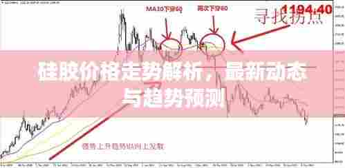 硅胶价格走势解析，最新动态与趋势预测