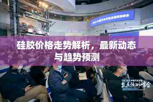 硅胶价格走势解析,最新动态与趋势预测