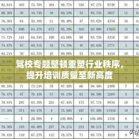 驾校专题整顿重塑行业秩序,提升培训质量至新高度