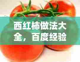 西红柿做法大全,百度经验独家分享