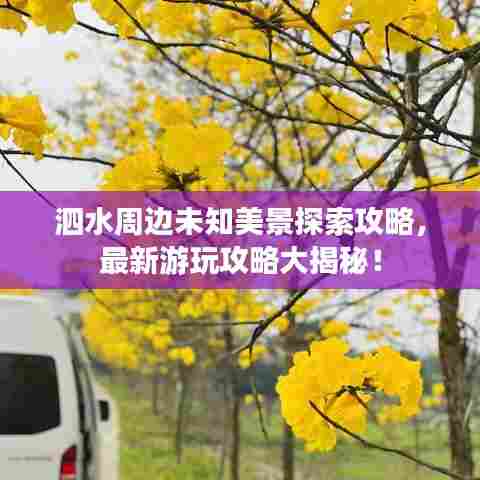 泗水周边未知美景探索攻略，最新游玩攻略大揭秘！