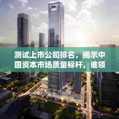 测试上市公司排名，揭示中国资本市场质量标杆，谁领先？