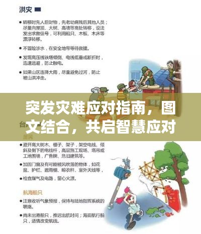 突发灾难应对指南，图文结合，共启智慧应对之路