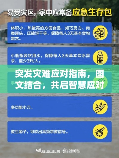 突发灾难应对指南,图文结合,共启智慧应对之路
