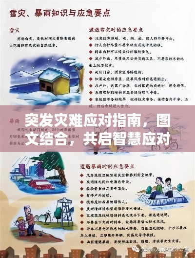 突发灾难应对指南,图文结合,共启智慧应对之路