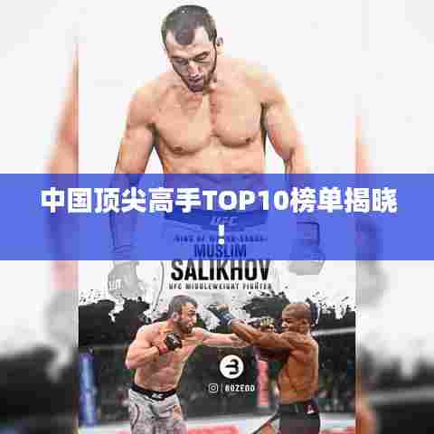 中国顶尖高手TOP10榜单揭晓!