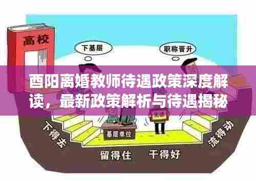 酉阳离婚教师待遇政策深度解读,最新政策解析与待遇揭秘