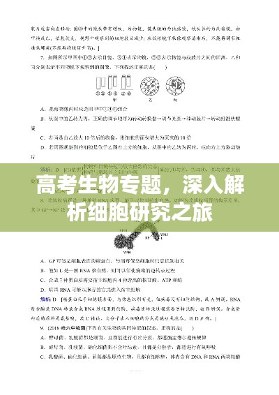 高考生物专题，深入解析细胞研究之旅
