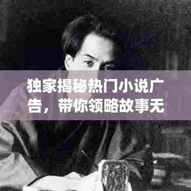 独家揭秘热门小说广告,带你领略故事无限魅力