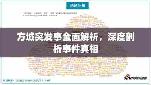 方城突发事全面解析，深度剖析事件真相