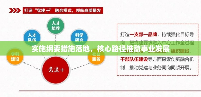 实施纲要措施落地，核心路径推动事业发展