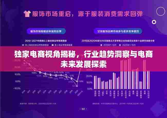 独家电商视角揭秘，行业趋势洞察与电商未来发展探索