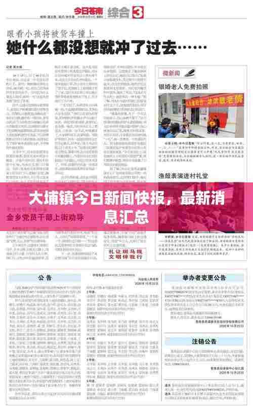 大埔镇今日新闻快报，最新消息汇总