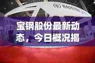 宝钢股份最新动态,今日概况揭秘