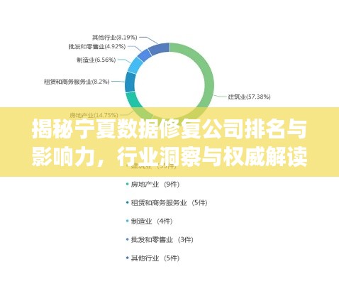 揭秘宁夏数据修复公司排名与影响力，行业洞察与权威解读