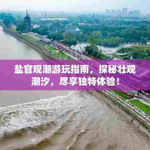 盐官观潮游玩指南，探秘壮观潮汐，尽享独特体验！