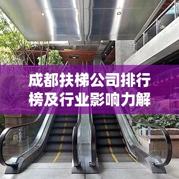 成都扶梯公司排行榜及行业影响力解析