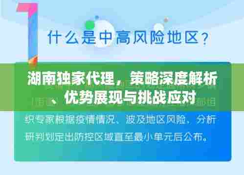 湖南独家代理，策略深度解析、优势展现与挑战应对