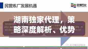 湖南独家代理,策略深度解析、优势展现与挑战应对