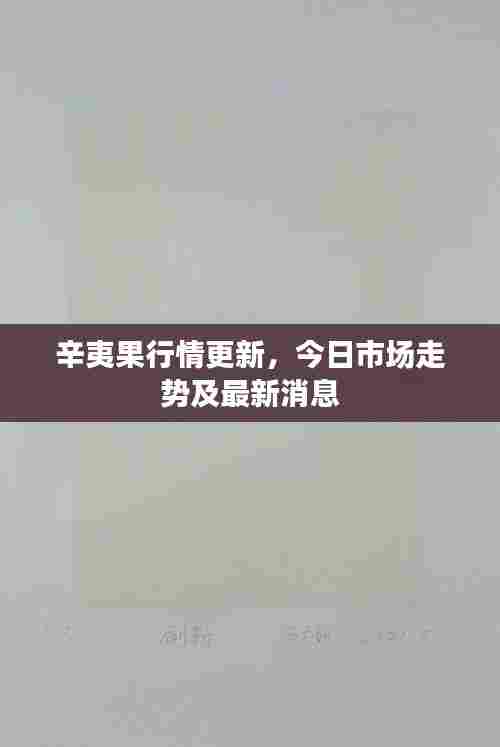 辛夷果行情更新,今日市场走势及最新消息