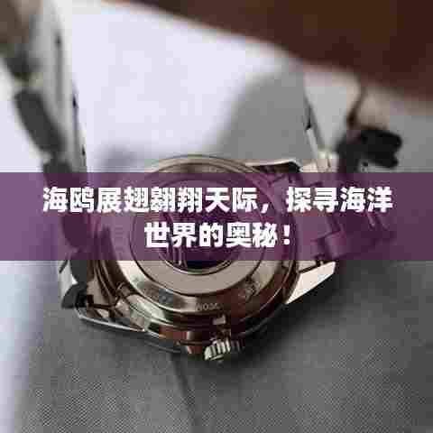 海鸥展翅翱翔天际,探寻海洋世界的奥秘!