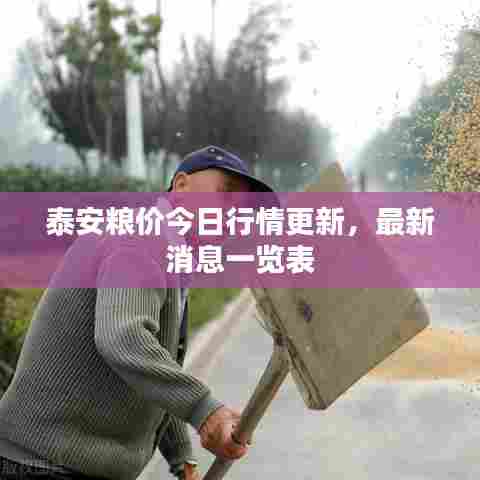 泰安粮价今日行情更新，最新消息一览表