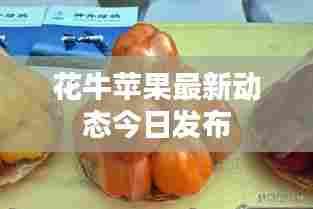 花牛苹果最新动态今日发布