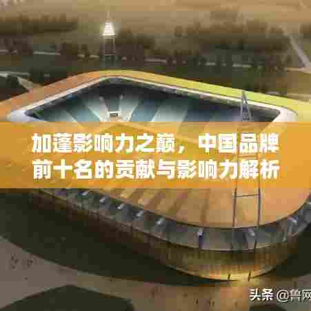 加蓬影响力之巅，中国品牌前十名的贡献与影响力解析