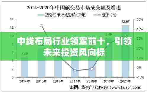 中线布局行业领军前十,引领未来投资风向标