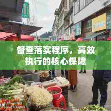 督查落实程序，高效执行的核心保障