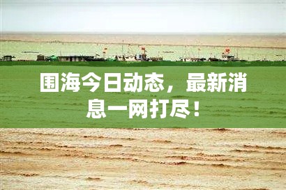 围海今日动态,最新消息一网打尽!