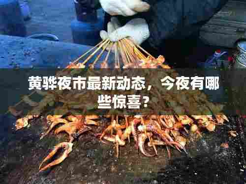 黄骅夜市最新动态，今夜有哪些惊喜？