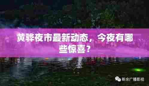 黄骅夜市最新动态,今夜有哪些惊喜?