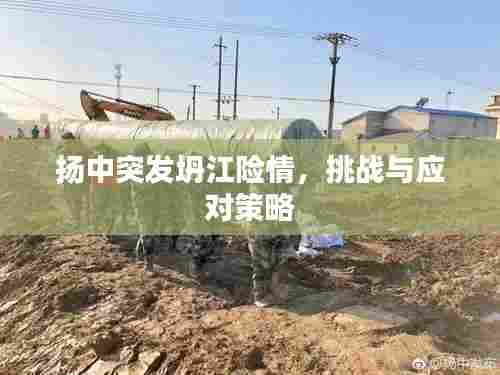 扬中突发坍江险情，挑战与应对策略