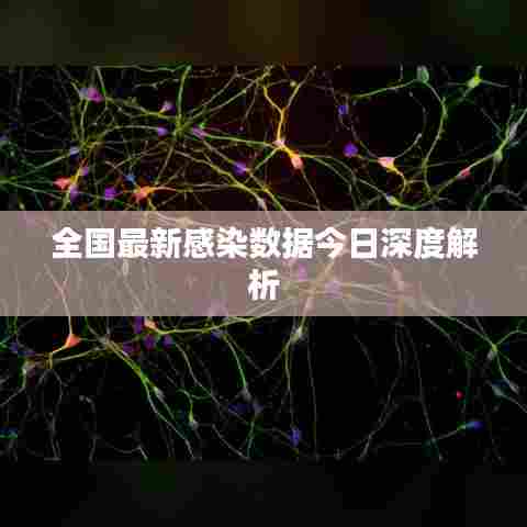 全国最新感染数据今日深度解析