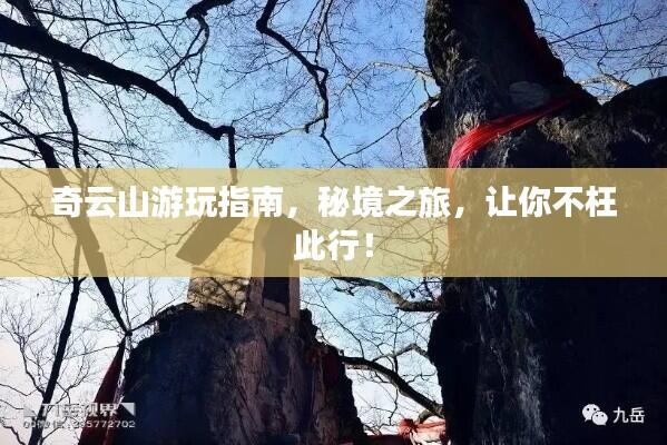 奇云山游玩指南，秘境之旅，让你不枉此行！