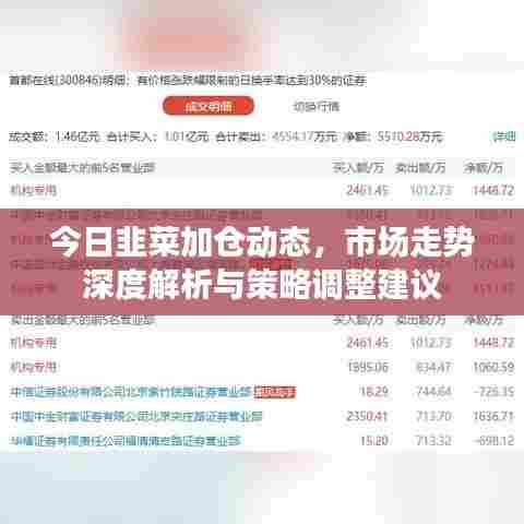 今日韭菜加仓动态，市场走势深度解析与策略调整建议