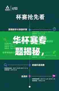 华杯赛专题揭秘，数学盛宴背后的奥秘探索之旅