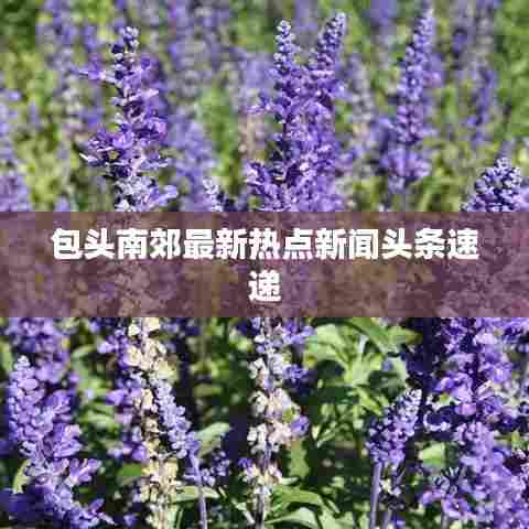 包头南郊最新热点新闻头条速递