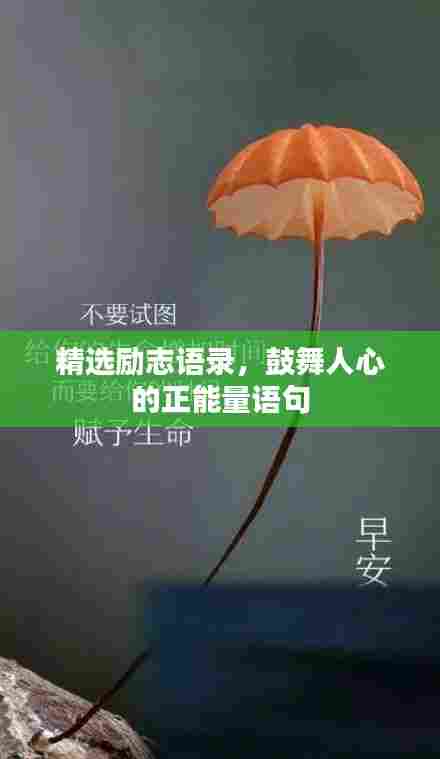 精选励志语录,鼓舞人心的正能量语句