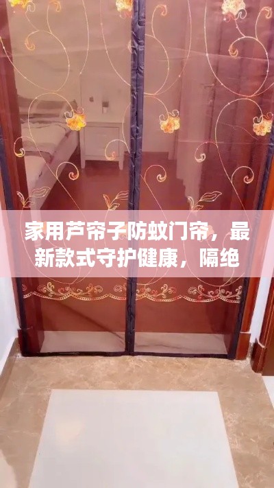 家用芦帘子防蚊门帘,最新款式守护健康,隔绝蚊虫烦恼