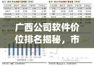 广西公司软件价位排名揭秘,市场分析深度解读