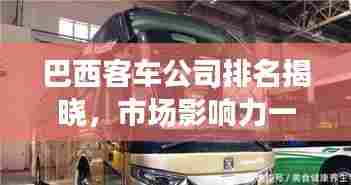 巴西客车公司排名揭晓，市场影响力一览，哪家企业独占鳌头？