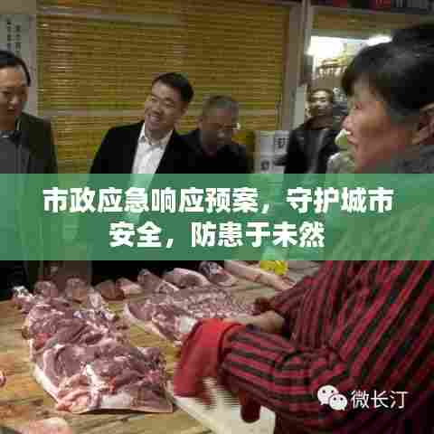 市政应急响应预案,守护城市安全,防患于未然