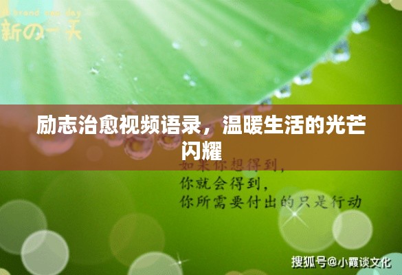 励志治愈视频语录,温暖生活的光芒闪耀