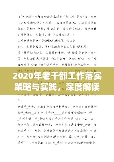 2020年老干部工作落实策略与实践,深度解读与行动指南