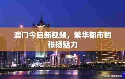 澳门今日新视频,繁华都市的张扬魅力