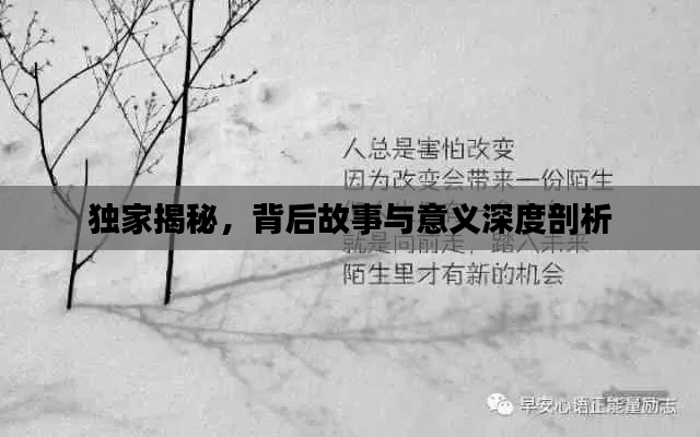 独家揭秘，背后故事与意义深度剖析