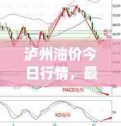 泸州油价今日行情，最新油价表及市场走势分析